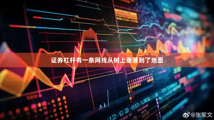 证券杠杆有一条网线从树上垂落到了地面