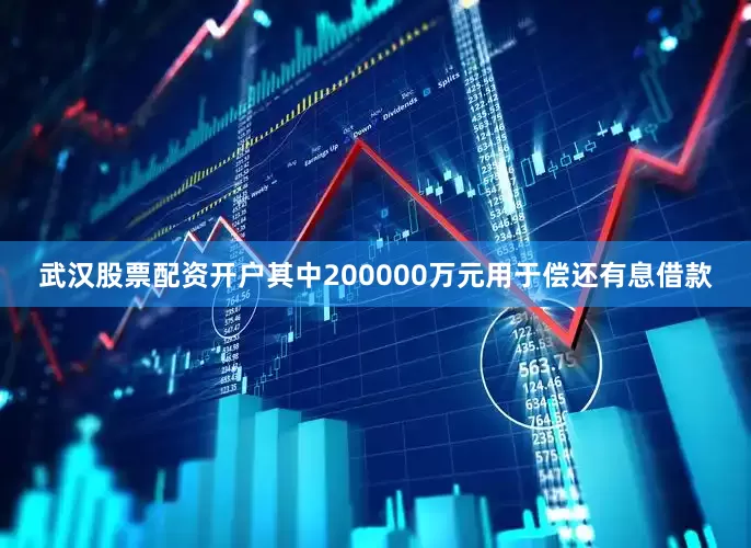 武汉股票配资开户其中200000万元用于偿还有息借款
